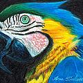 Parrot Miniature